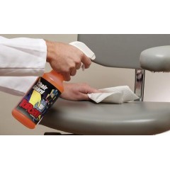 TopCat Chair-Guard Spray Protectant Single Quart Spray Bottle